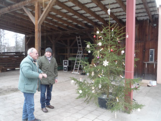 Baum im Stall von Bethlehem